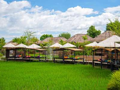 jpeg-optimizer_green-rice-fields-planted-resort-rainy-season-saraphi-district-chiang-mai-province-thailand